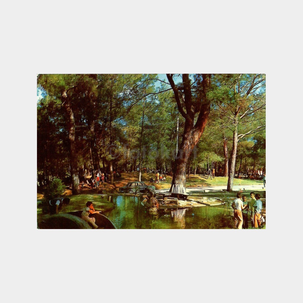 Antalya Düzlerçamı Orman Parkı Kartpostal