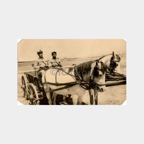 Askeri At Arabası Fotoğraf