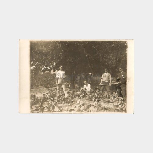 1930 Bornova Ziraat Mektebi Öğrenci Çalışması 2 Adet Fotoğraf
