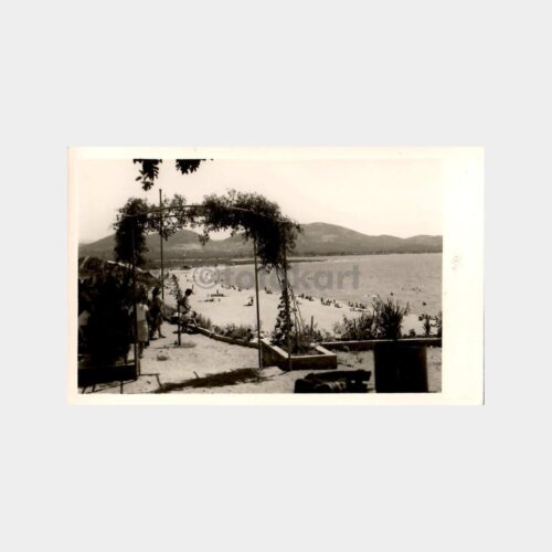 1964 Burhaniye Ören Görünüş Fotokart