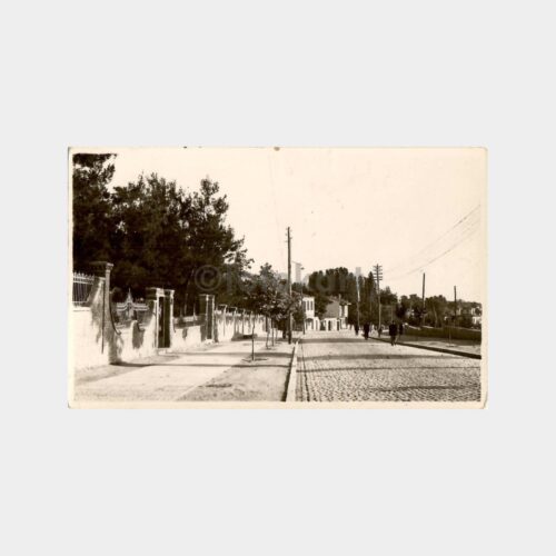 1930 Bursa Çekirge Yolu Nadir Fotokart