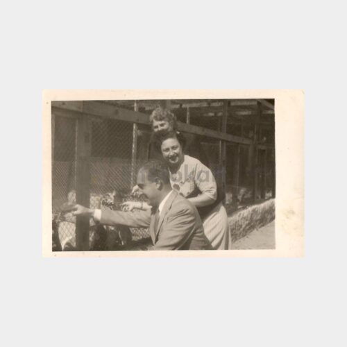 1951 Bursa Tavşan Çiftliği Fotoğraf
