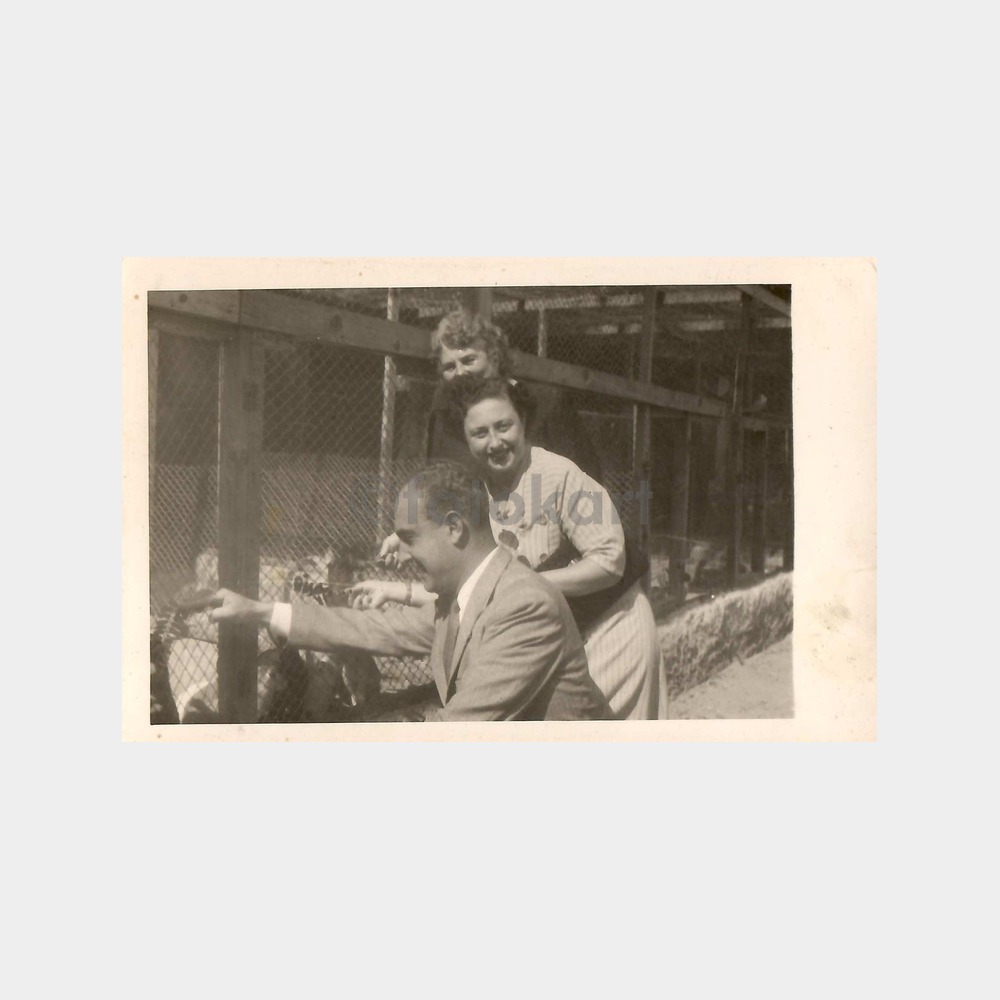 1951 Bursa Tavşan Çiftliği Fotoğraf