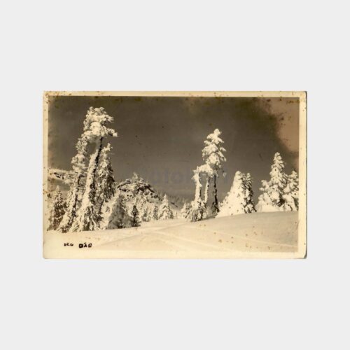1938 Bursa Uludağ Fotokart
