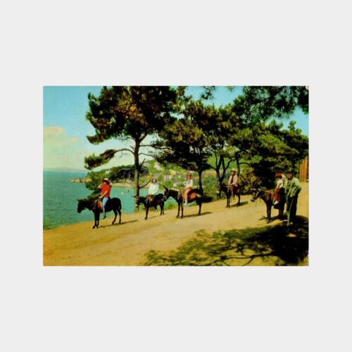 1975 Büyükada Eşekli Gezi Konulu Kartpostal