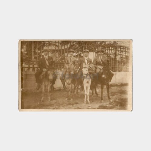 Büyükada Eşekli Gezi Konulu Fotoğraf