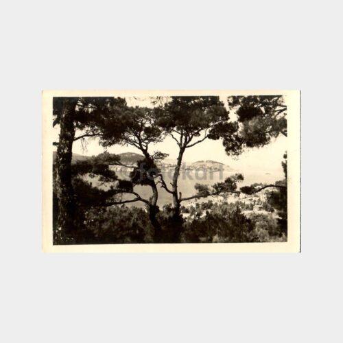 1928 Büyükada Genel Görünüş Fotokart