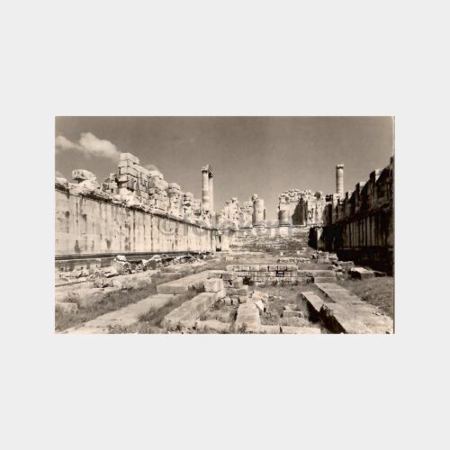 Didim Apollon Mabedi'nden Görünüş Kartpostal