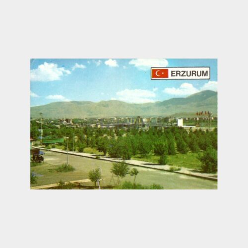 Erzurum Kentten Genel Görünüm Kartpostal
