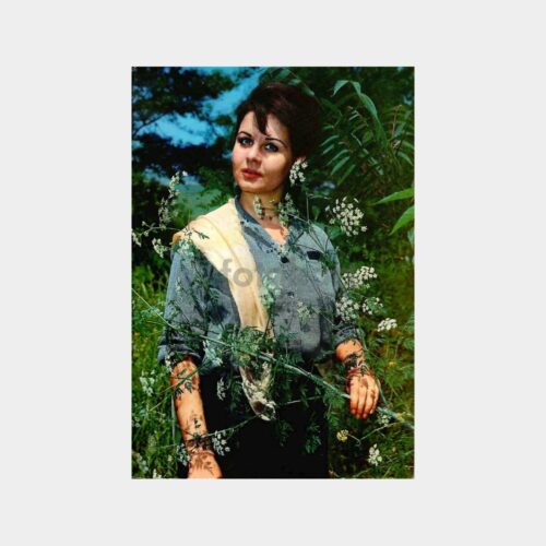 Fatma Girik Kartpostal