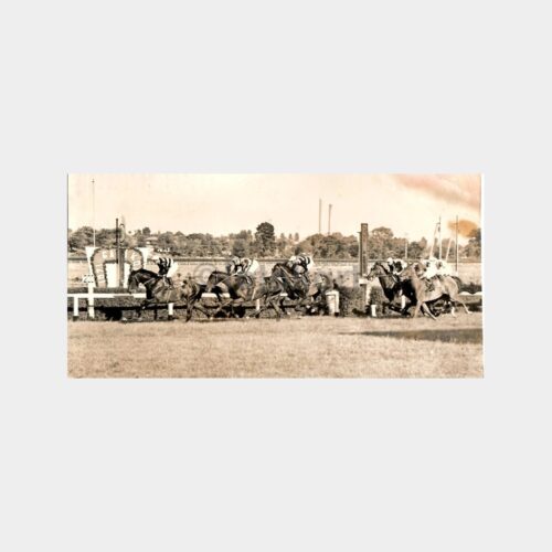1971 Gazi Koşusu Eliyeşil Ailesi Atı Minimo Fotoğraflar (5 Adet)