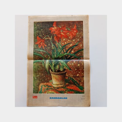 Hayat Dergisi - Orta Sayfası Poster, No. 38 Zambaklar Tablosu - Feyhaman Duran