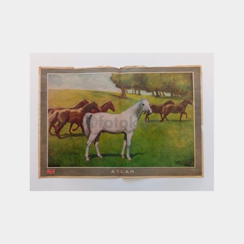 Hayat Dergisi - Orta Sayfası Poster, No. 40 Atlar Tablo, Ali Karsan