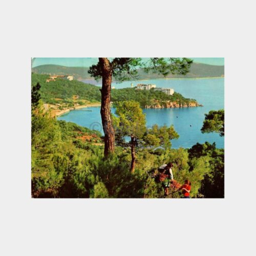 Heybeliada Bir Görünüm Kartpostal