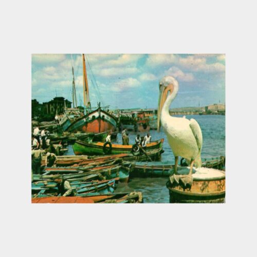 İstanbul Balık Pazarı Genel Görünüş Kartpostal