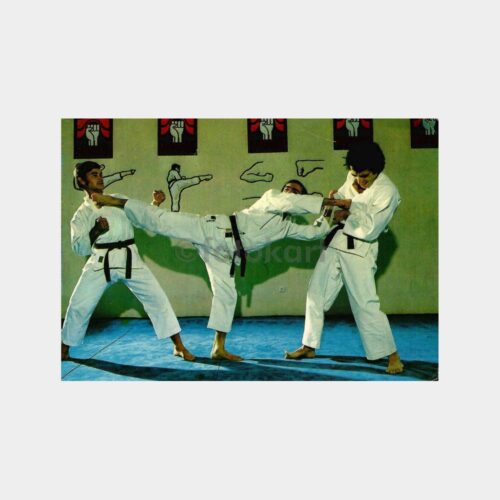 Karate - Dövüş Sporları Konulu Kartpostal