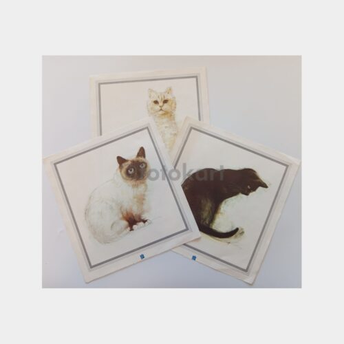 Kedi Çizimleri Baskı Takvim Sayfaları (3 Adet)