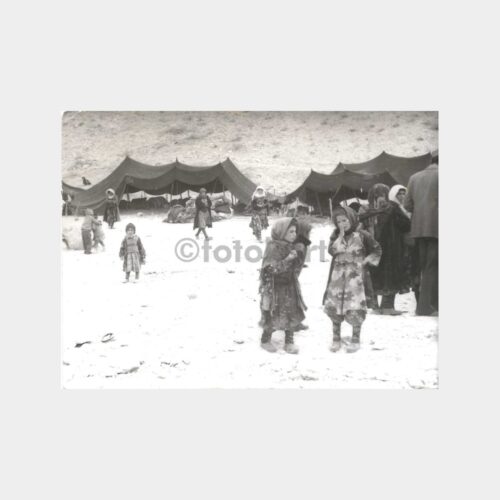 Kış Zamanı Göçerler Basın Fotoğrafı