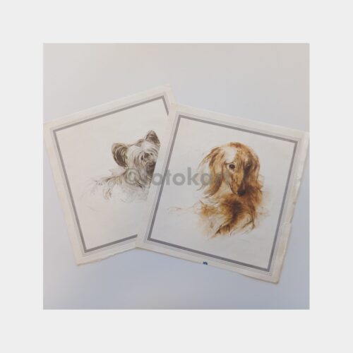 Köpek Çizimleri Baskı Takvim Sayfaları (2 Adet)