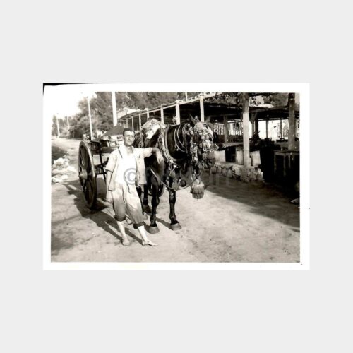 Kum Çeken At Arabası Konulu Fotoğraf