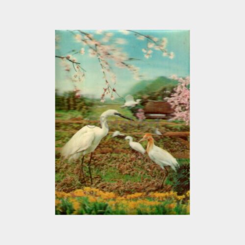 1969 Leylekler ve Çiçekler 3 Boyutlu Kartpostal