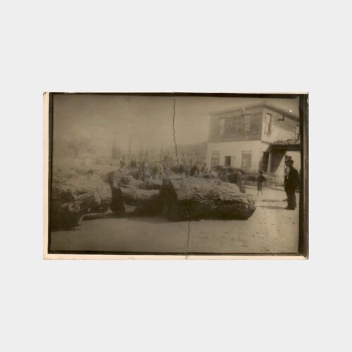 1933 Mudanya Köyde Kütükler Fotoğraf (Tamirli)