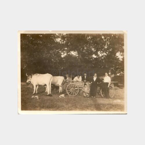 Polonezköy Grup Fotoğraf