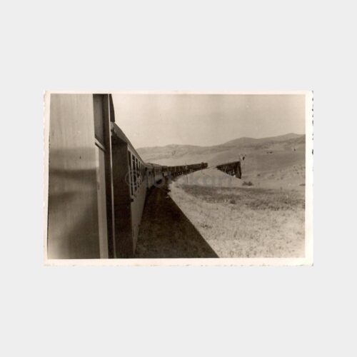 Tren Katarı ve Köprü Konulu Fotoğraf