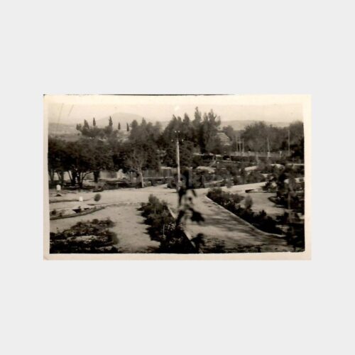 Anadolu Park Görünüş Tebrik Fotoğraf
