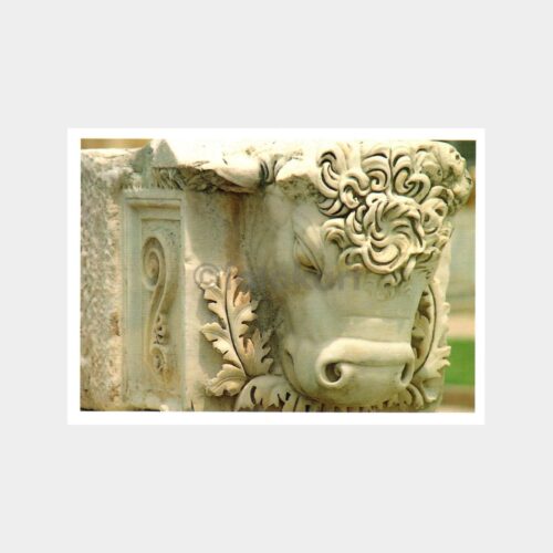 Aphrodisias Hadrian Hamamından Konsol Başı Kartpostal
