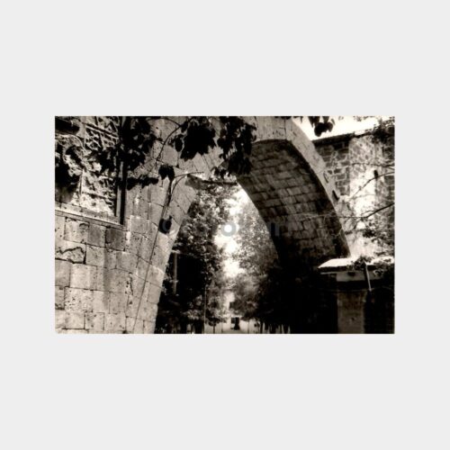 Avcılık Konulu Tüfekli Avcılar Fotoğraf