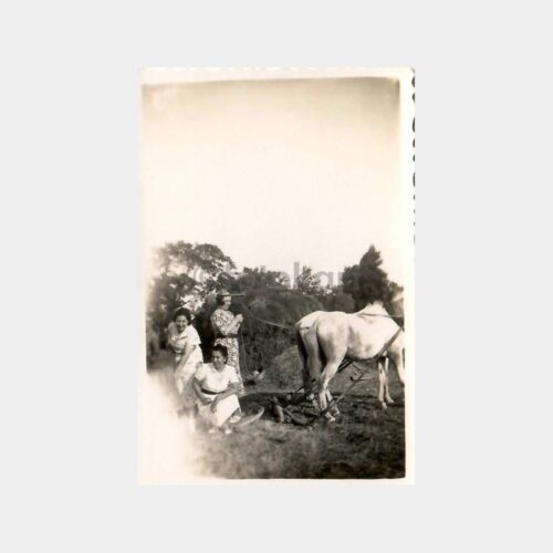 Çiftlikte Çalışan Kadınlar Fotoğraf