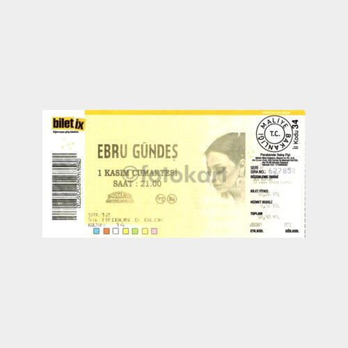 2008 Ebru Gündeş Konser Bileti Efemera