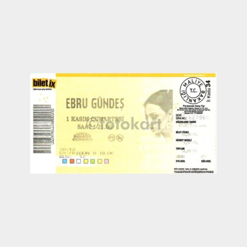2008 Ebru Gündeş Konser Bileti Efemera