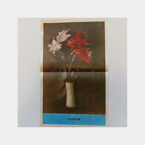 Hayat Dergisi - Orta Sayfası Poster, No. 88 Çiçekler