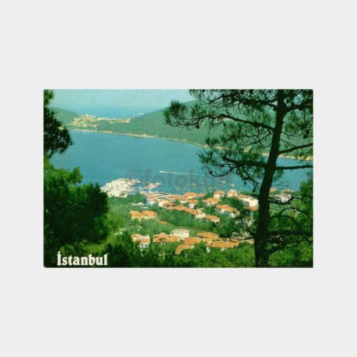 İstanbul Panorama Kartpostal