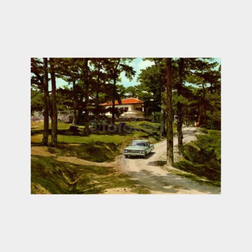 Kütahya Çamlıca Ormanı Kartpostal
