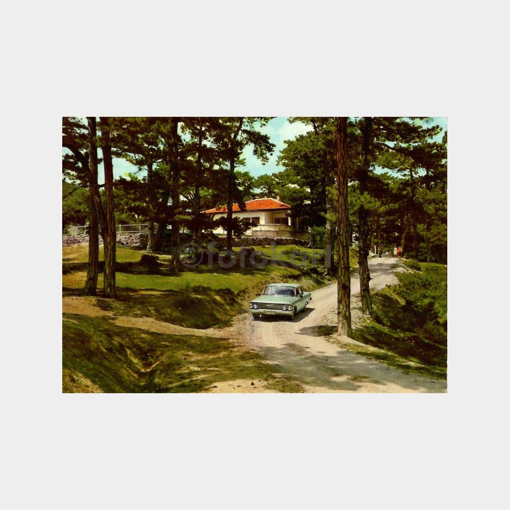 Kütahya Çamlıca Ormanı Kartpostal