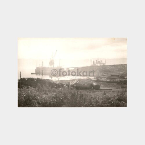 Liman ve Kütükler Fotoğraf