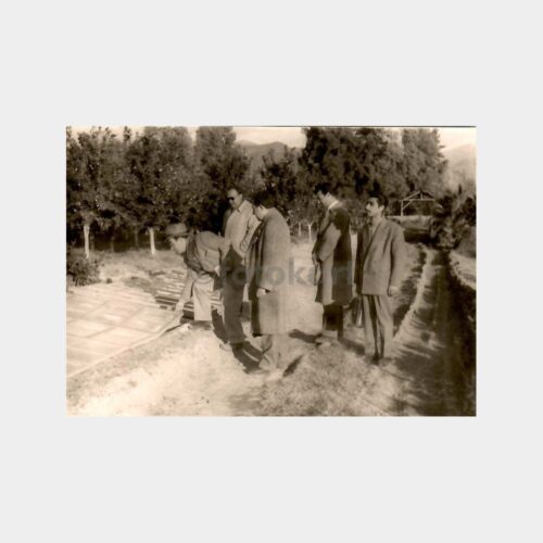 Meyve Bahçesinde İnceleme Fotoğraf