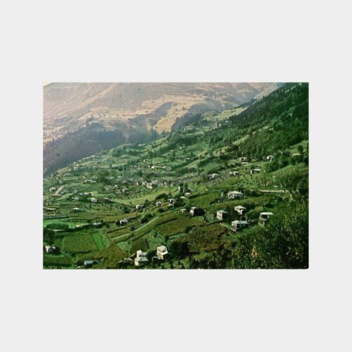 Trabzon Hamsiköy Kartpostal