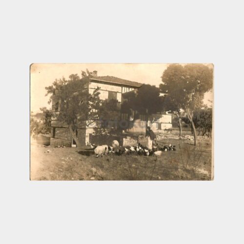 Çiftlik Köy Yaşamı Konulu Fotoğraf