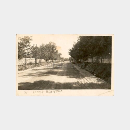 1930 İzmir Bornova Yolu Görünüş Kartpostal