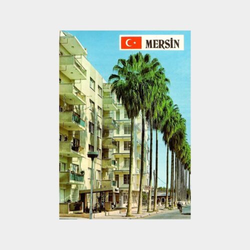 Mersinde Palmiye Ağaçları Kartpostal