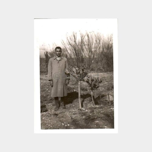 Tarla Ağaç Dikimi Hatıra Fotoğraf