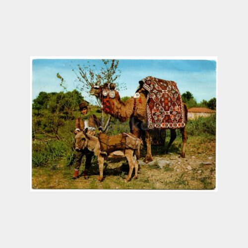 1967 Alanya Develer Mersin Damgalı Kartpostal