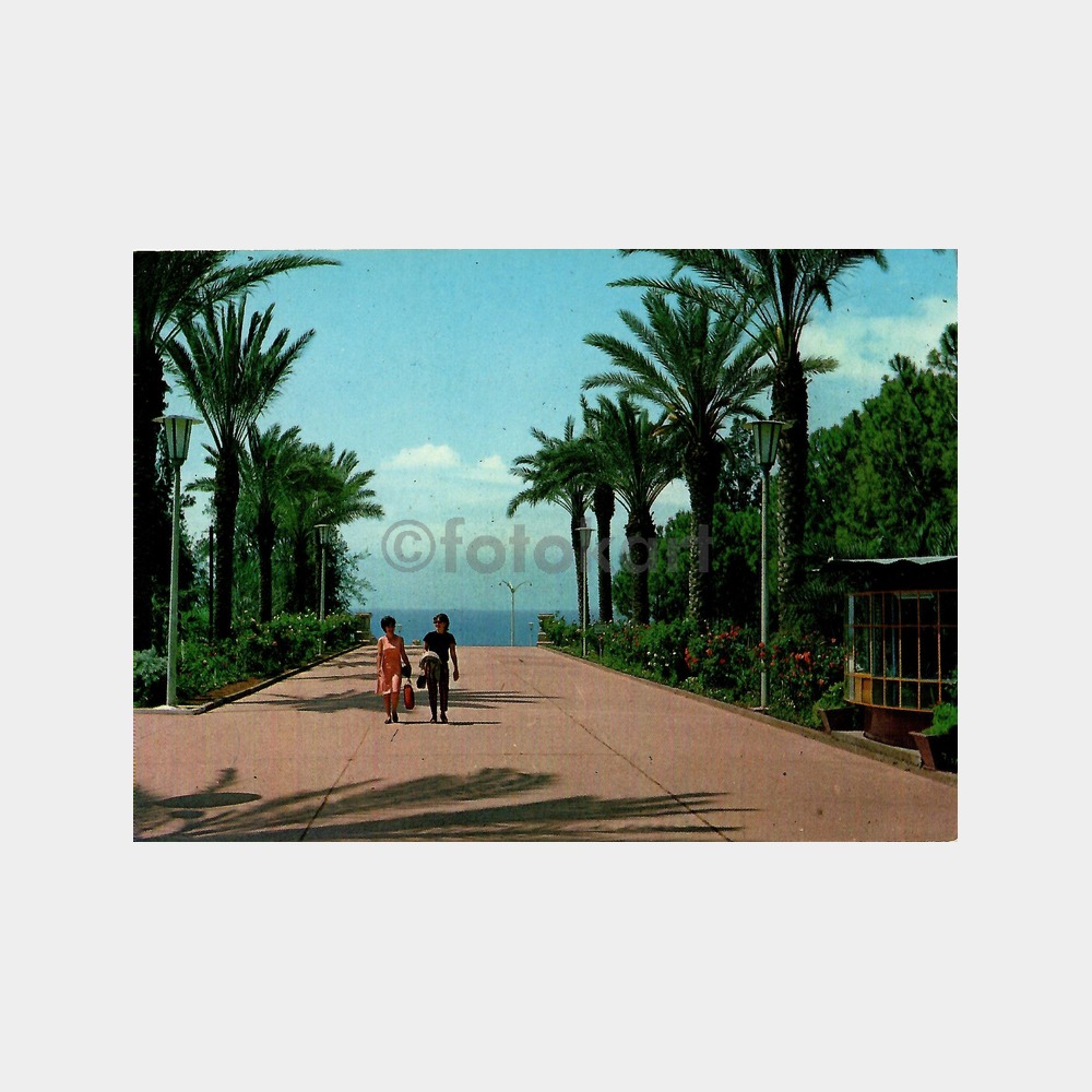 Antalya Park İçinden Görünüş Kartpostal