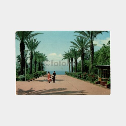 Antalya Parktan Bir Görünüş Kartpostal