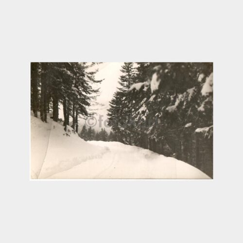 Kastamonu -Foto Zihni- Kış Manzarası Fotoğraf