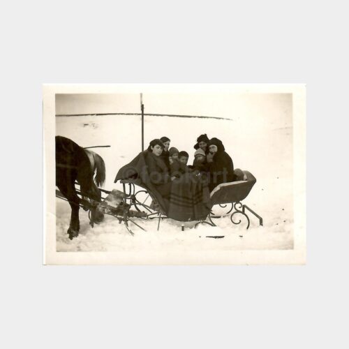 Kızaklı At Arabası Görünüş Fotoğraf